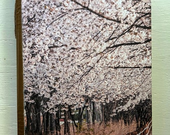 Pink Fields Handmade Journal