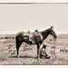 The American Cowboy  1910 