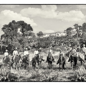 Texas Cowboys  1901