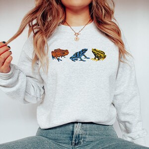 May include: A gray sweatshirt with a graphic of three frogs in different colors: orange, blue, and yellow. The frogs are arranged in a row across the chest of the sweatshirt.