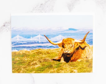 Highland Cow Card, Highland Cow Art, Scottish Card, Blank Greetings Card