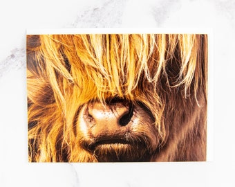 Highland Cow A6 Card