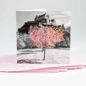 Biglietti d'auguri con fiori del Castello di Edimburgo, articoli di cancelleria scozzesi, biglietti d'auguri con fiori del Castello di Edimburgo, confezione multipla di biglietti vuoti con fiori, set di biglietti