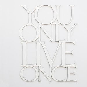 You Only Live Once