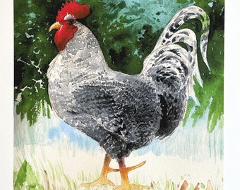 Plymouth Rock Rooster Portrait. Green trees, grass. Giclée fine art print of James Mann original watercolor. Last of signed limited edition.