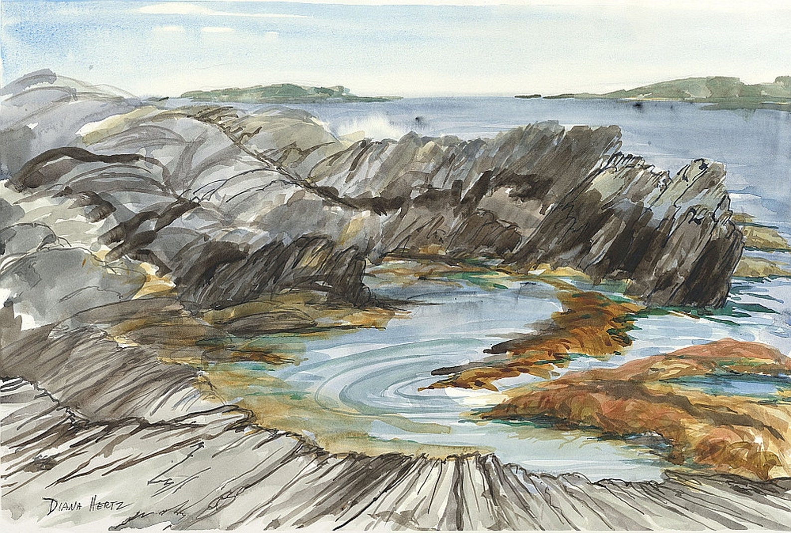 Maine Tidal Pools Chargenipod