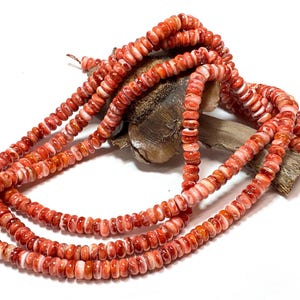Red Spiny Oyster Rondelles