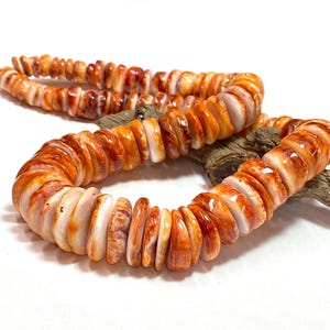 Orange Spiny Oyster Graduated Rondelles