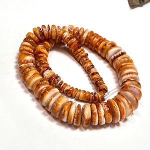 Orange Spiny Oyster Graduated Rondelles