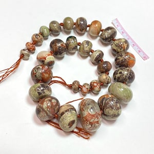 Graduated Rainforest Jasper
