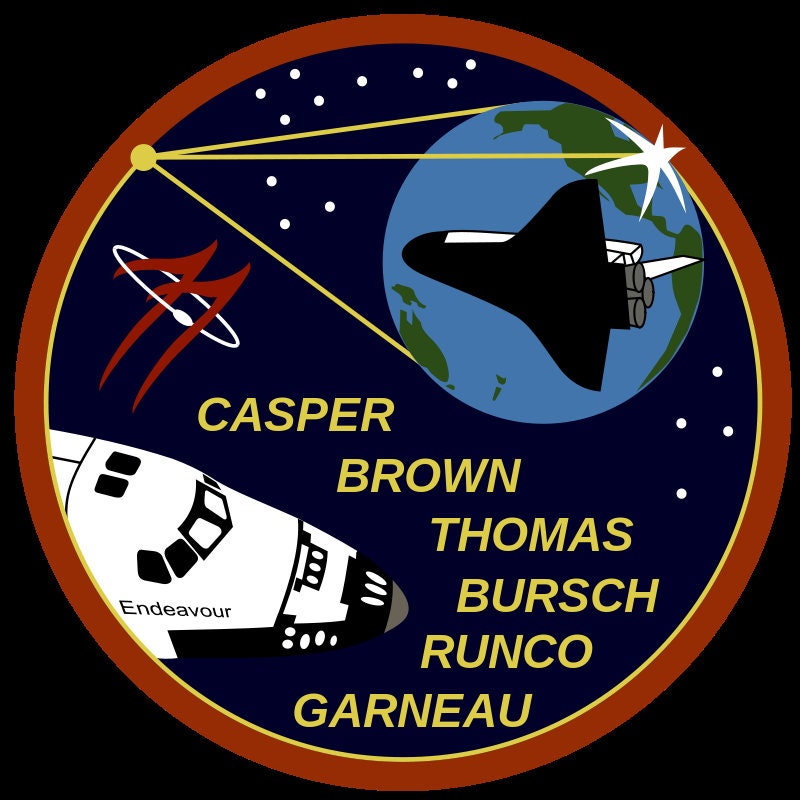 Space Shuttle Endeavour Space Flown Insulating Blanket Embedded Resin ...