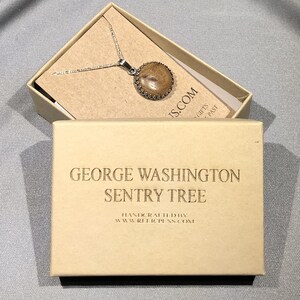 Historical Sterling Silver Pendant made with George Washington Sentry Tree