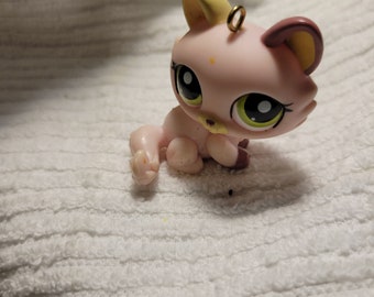Rainbow lps cat discount