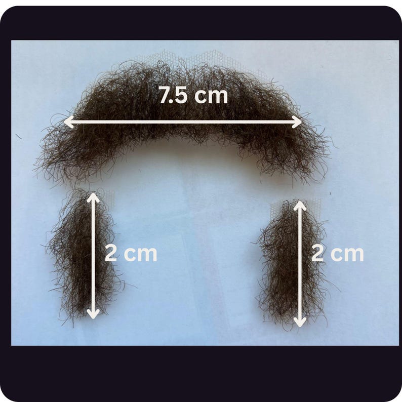Three Piece - High Quality Dark Brown - Horseshoe Moustache - Human ...