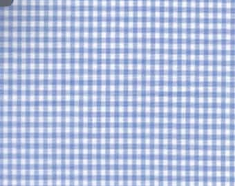 Soft Blue Gingham Mouse Ears