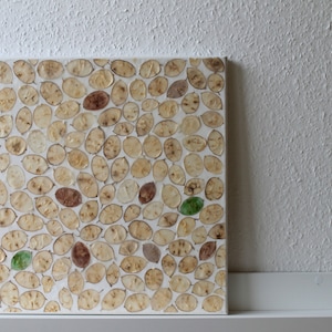 Könnte beinhalten: Ein quadratisches Leinwandbild mit weißem Hintergrund, der mit kleinen, ovalen, hellbraunen Teilen bedeckt ist. Dazwischen sind einige grüne und braune Teile verstreut.