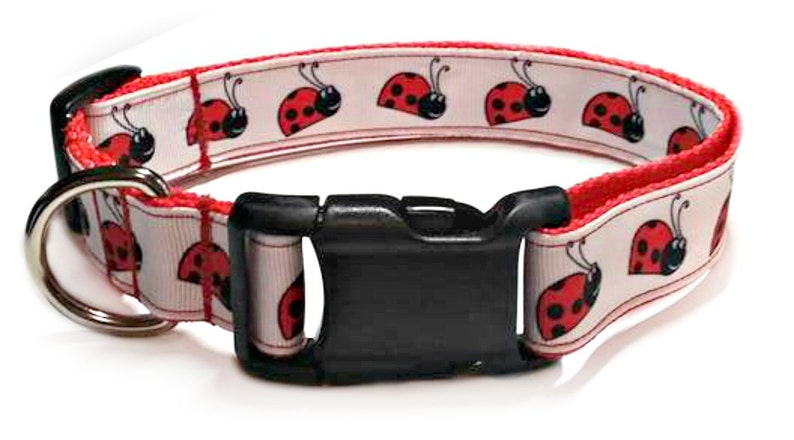 FREE SHIPPING Ladybug Dog Collar / Adjustable | Etsy
