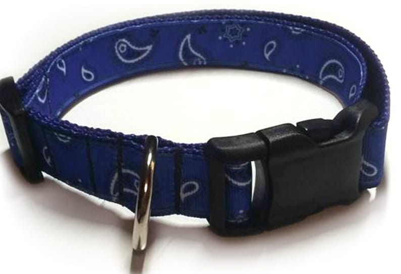 Blue Bandana Dog Collar / Country Dog Collar / Bandana Collar Etsy