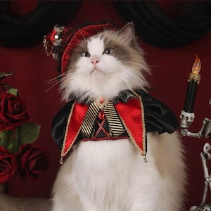 The Dark Knight Pet Costume