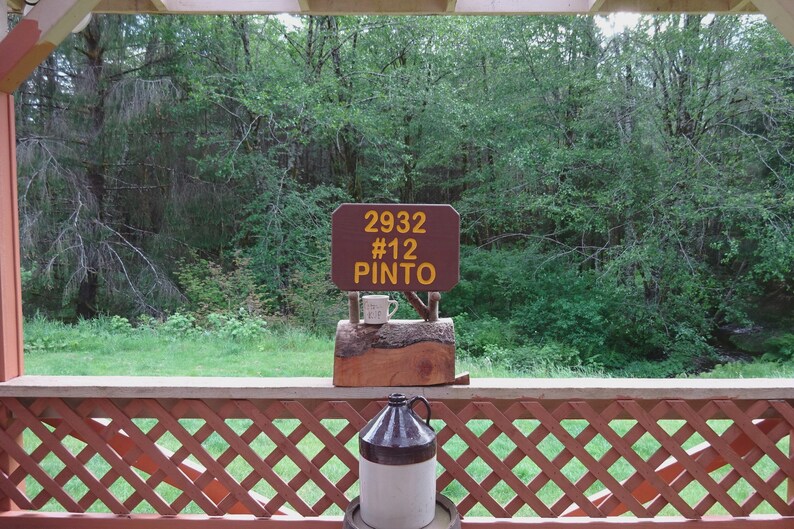 Family name address lot # sign National Park style trail cabin lodge park camp sign Hand carved routed lettering on reclaimed wood 200CUS