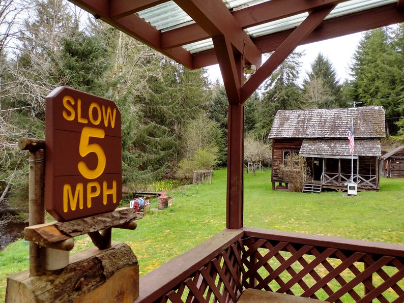 National Park style SLOW 5 MPH sign, hand carved routed painted for hiking trail road street cabin campground. Reflective lettering MA000D image 3