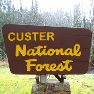 Forest Service style CUSTER NATIONAL FOREST Park welcome sign, driveway road street cabin lodge camp. Carved routed painted letters MC582Mx