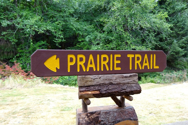 National Park Style Trail Sign, PRAIRIE TRAIL. Park Campground Sign, National Park Trail Camping, Outdoor Vintage Wooden, Lodge Cabin 769sos image 3