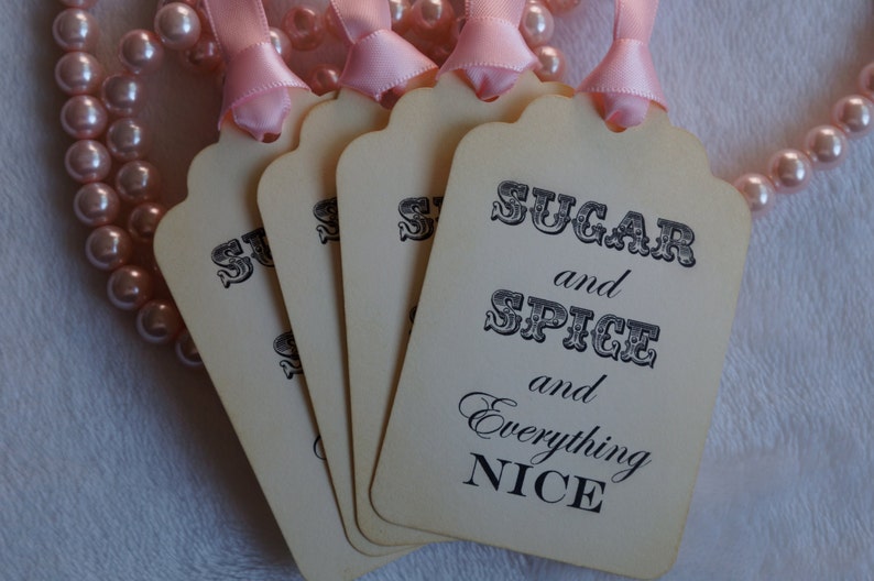 Sugar And Spice And Everything Nice Gift Tags Set Of 5 Etsy