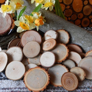 May include: A collection of small, round, wooden slices with visible growth rings and natural bark edges. The wood slices vary in size and are arranged on a patterned surface, with a backdrop of wood and yellow daffodils.