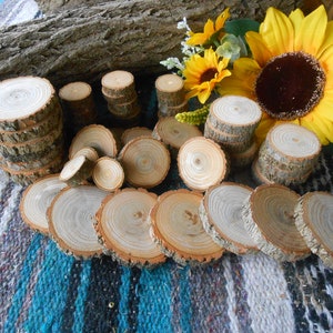 May include: A collection of natural wood slices and small log rounds. The wood rounds are light brown with visible growth rings. Some are stacked, while others are laid flat. A large sunflower and a piece of bark are in the background.