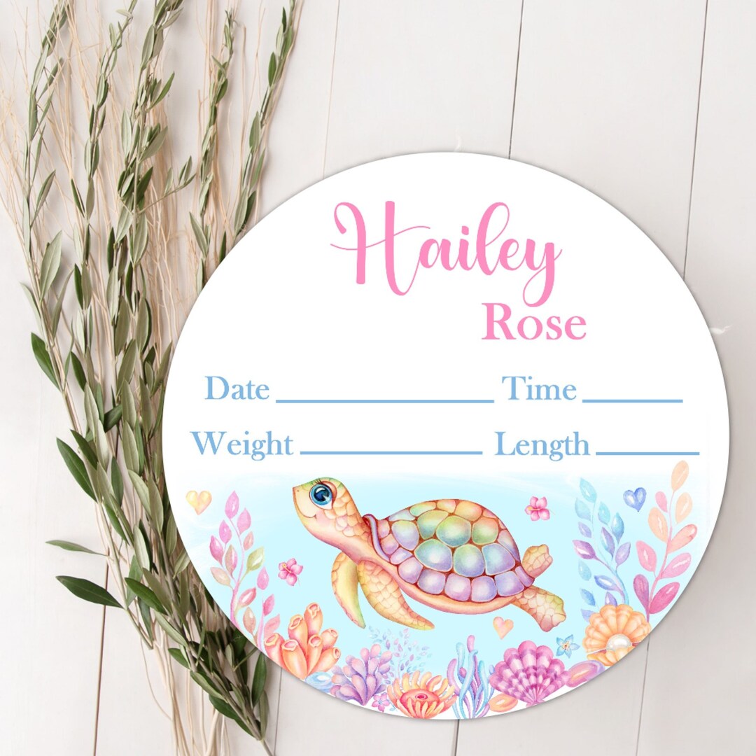 Personalized Turtle Baby Girl Birth Stat Wood Sign | Custom Birth ...