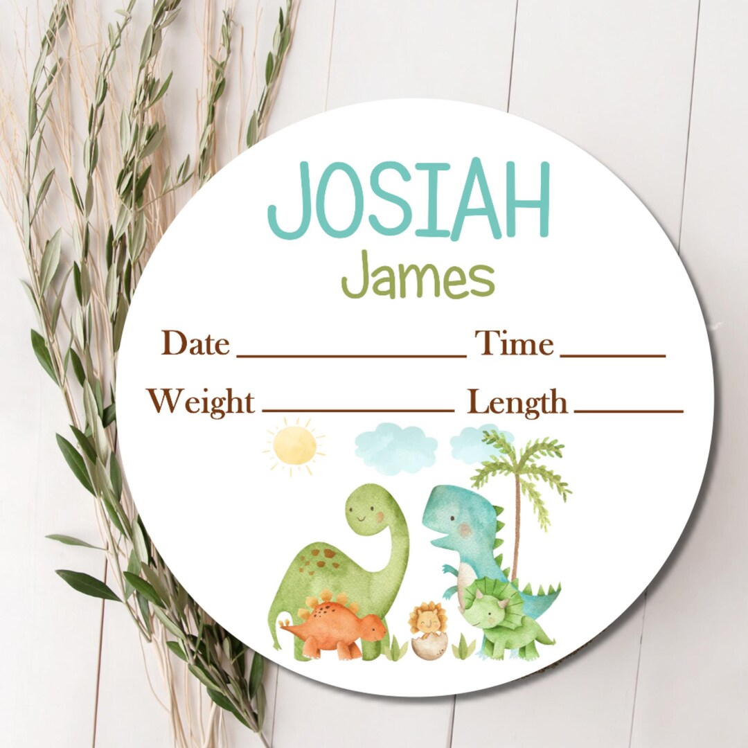 Personalized Dinosaur Baby Boy Birth Stat Sign | Custom Birth ...