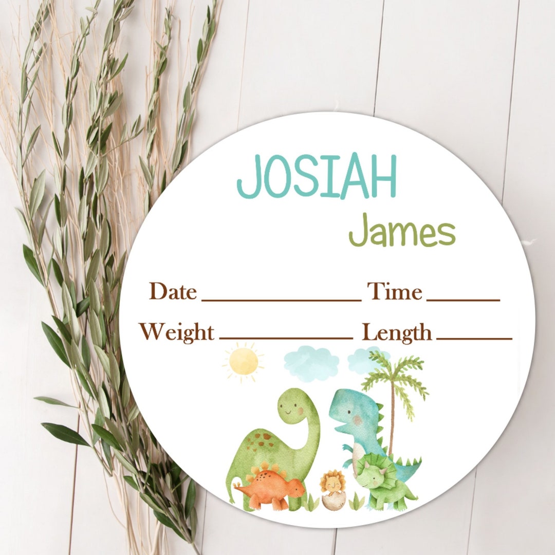Baby Boy Birth Stat Sign, Dinosaur Baby Sign Custom Baby Name Sign ...