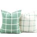 Premier Sage Green and Light Grey Cover, Sage Green Pillow, Decorative ...
