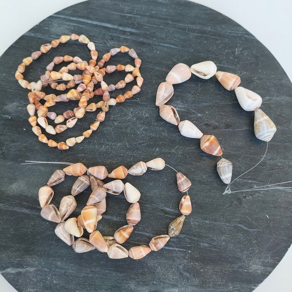 Cone Shell Jewelry Etsy