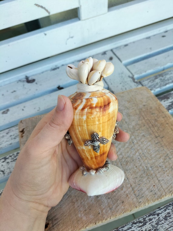 Porte Cure Dents Sea Shell Et 10 Cure Dents Shell Etsy France