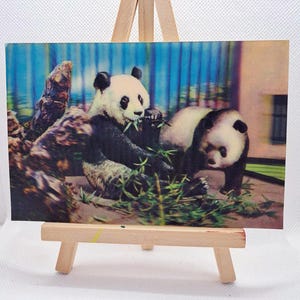Carte postale 3D Russie soviétique photo stéréo lenticulaire non postée Panda CORÉE 1980'