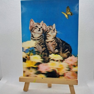 3d-pocztówka kocięta motyle koty Azja Japonia zdjęcie 1973 soczewkowe tęczowe zdjęcie stereo holograficzne radzieckie ZSRR opublikowane Iran