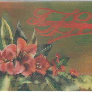 Carte postale 3D Russie soviétique Carte postale lenticulaire inutilisée photo stéréo fleurs rouges URSS 1988