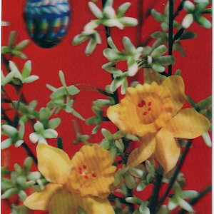 Cartolina stereoscopica lenticolare 3D inutilizzata della Svizzera con foto di uova di Pasqua, NARCISI e UOVA, fiori primaverili anni '80