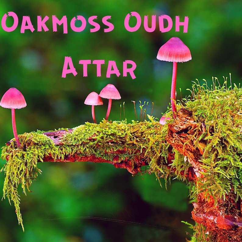 Puede incluir: Primer plano de una rama cubierta de musgo con varios hongos de sombrero rosa. El texto "OAKMOSS OUDH ATTAR" se muestra en letras rosas sobre la rama contra un fondo verde borroso. La escena evoca una est&eacute;tica natural y terrosa.