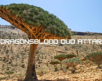 Dragon's Blood Oud attar - 100% natural