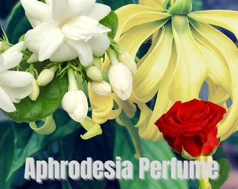 Aphrodisia Perfume -ylang , amber, civet, jasmine, rose, sandalwood