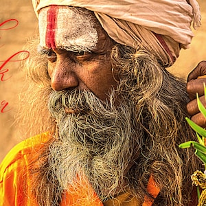 Holi Musk Attar - Sandalwood, Ambergris, Deer Musk