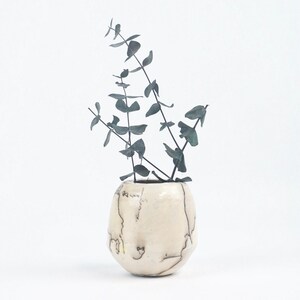 May include: A small, off-white ceramic vase with dark, vein-like markings. The vase holds several stems of eucalyptus with blue-green leaves. The vase has a rounded shape and sits against a plain white background.