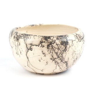 May include: A cream-colored ceramic bowl with a unique, textured surface. The bowl's exterior is adorned with intricate black, web-like patterns, creating a striking contrast. The bowl has a rounded shape and a wide opening.