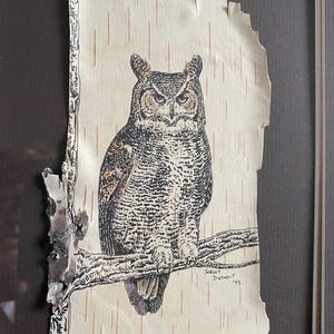 Native Birchbark Art Shelly Duthoit Indigenous Art