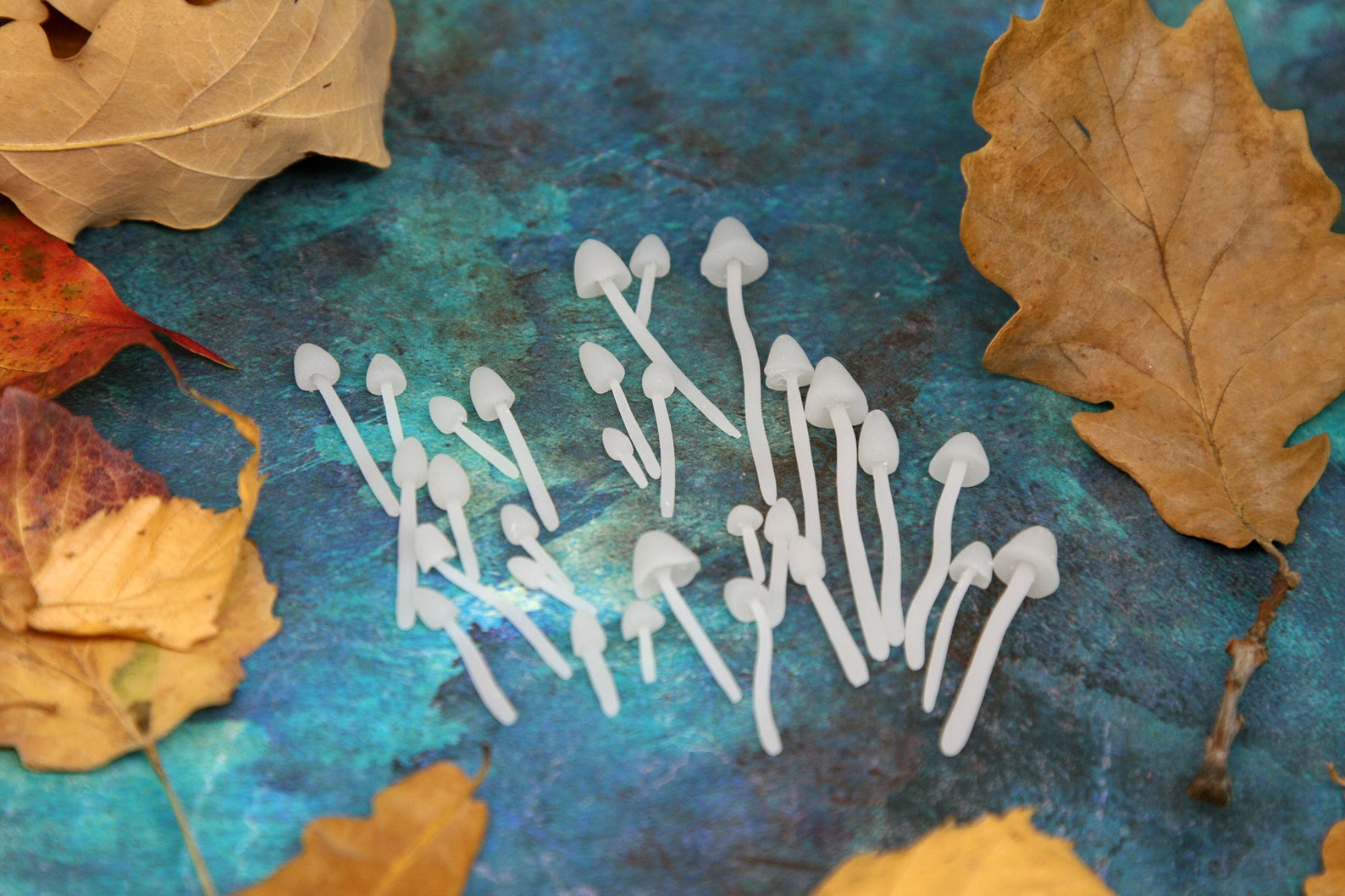 Set of 29 Fungi Mushroom Fungus Decor For Planters Flower Pots Etsy