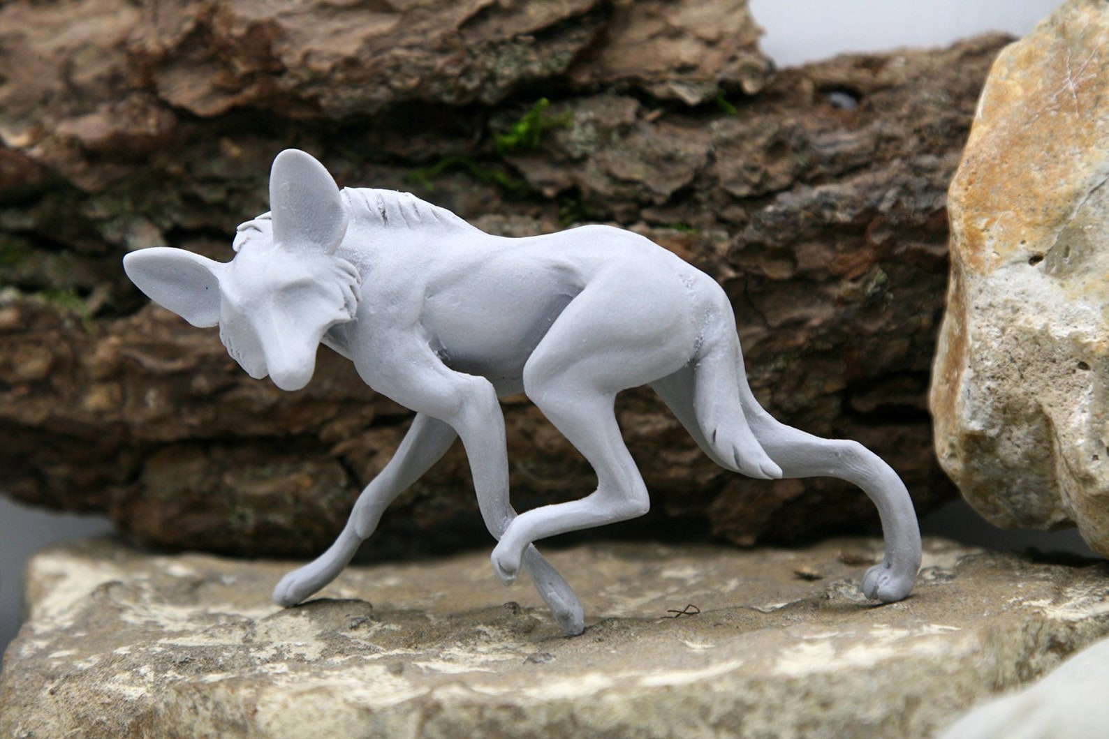 maned wolf order maned wolf order