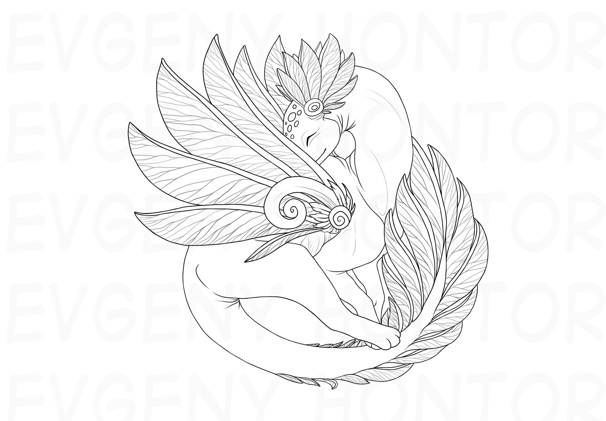 Fairy Dragon Coloring Page Fantasy Lineart Doodle Printable Etsy
